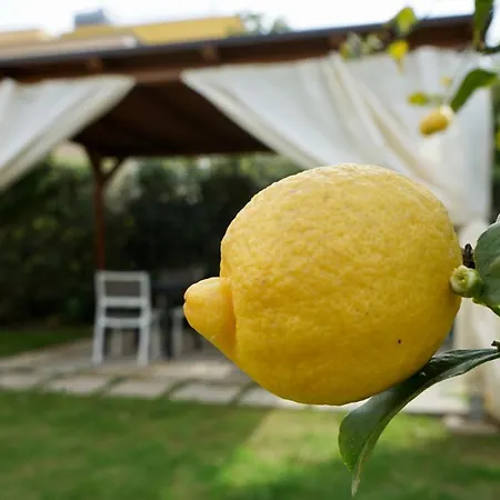 B&B Milena-3